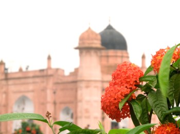 Flower at Lalbagh Fort in Dhaka, Bangladesh